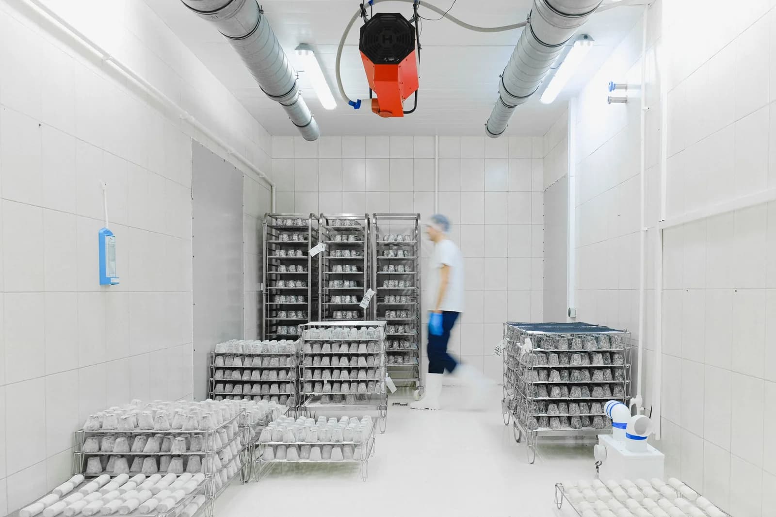 Refrigerated commercial cold room with a ceiling-mounted evaporator unit and racks of stock